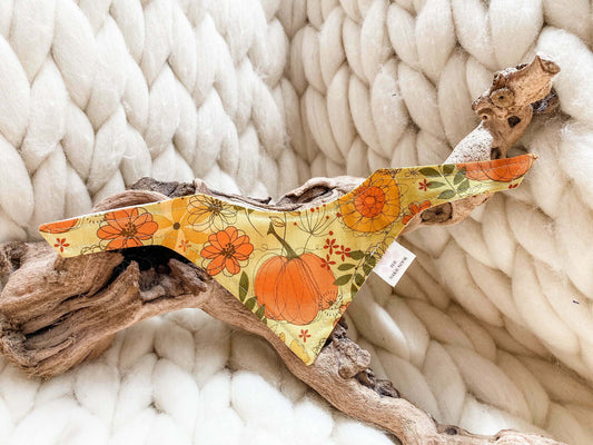 Pumpkin Spice and Everything Nice