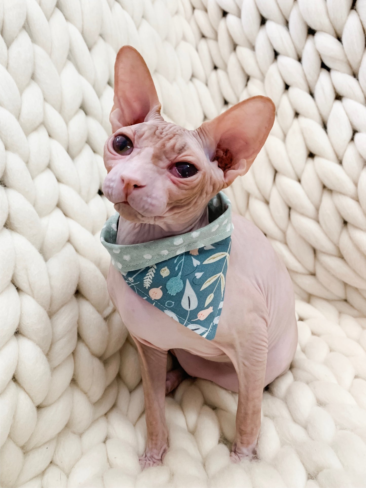 Poppy & Paisley Bandanna