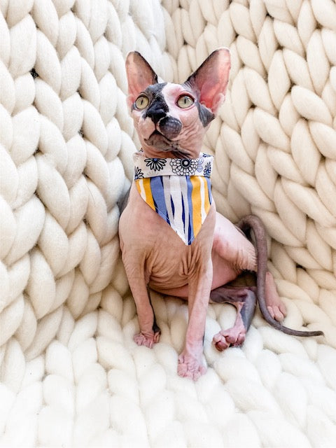 Flowers & Stripes 2.0