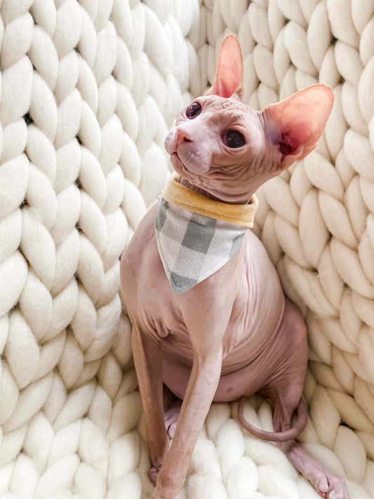 Mellow Yellow Grey Snuggle Plaid