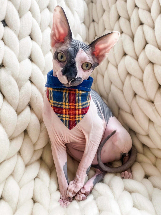 Classic Colors Snuggle Plaid