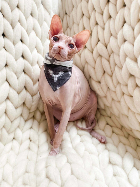 Big Buck Snuggle Plaid