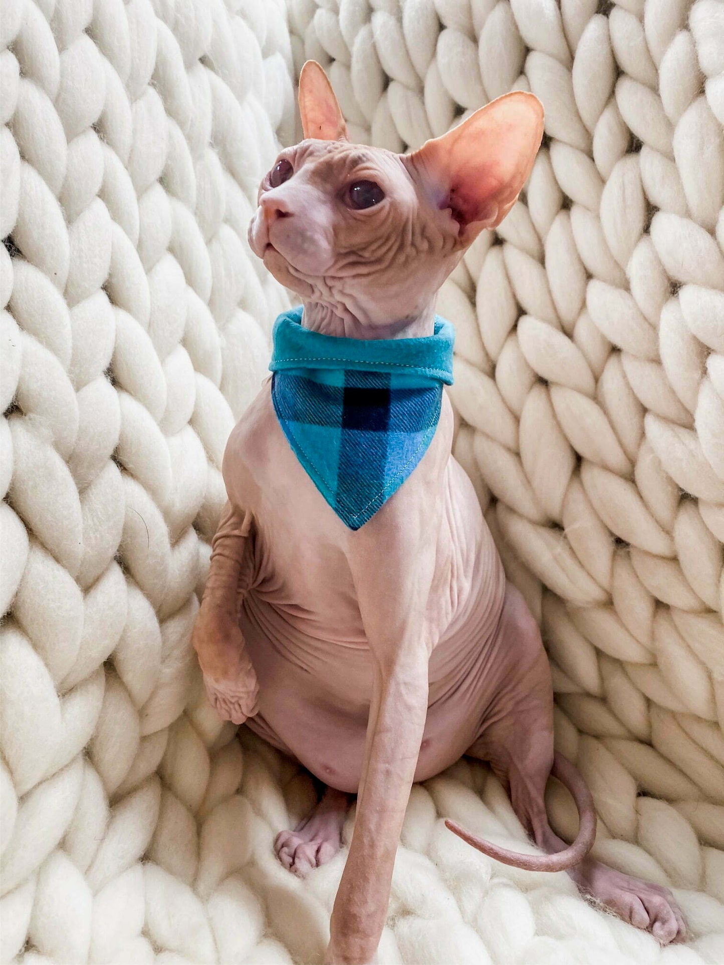 Blue Snuggle Plaid