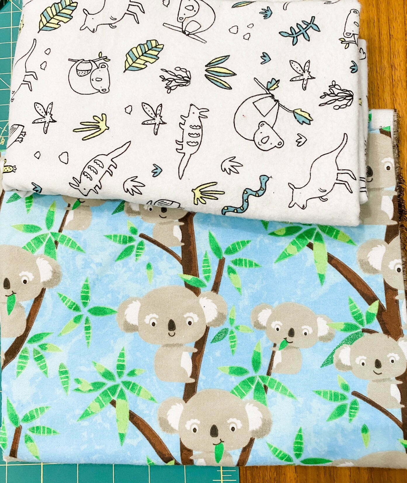 Koala Bear Snuggle 2