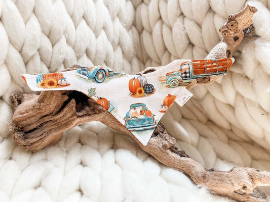 Rustic Vibes