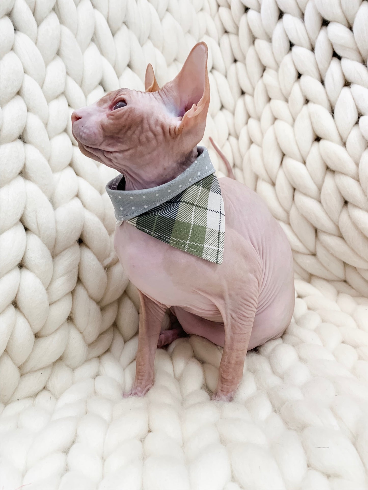 Polka-dot Plaid