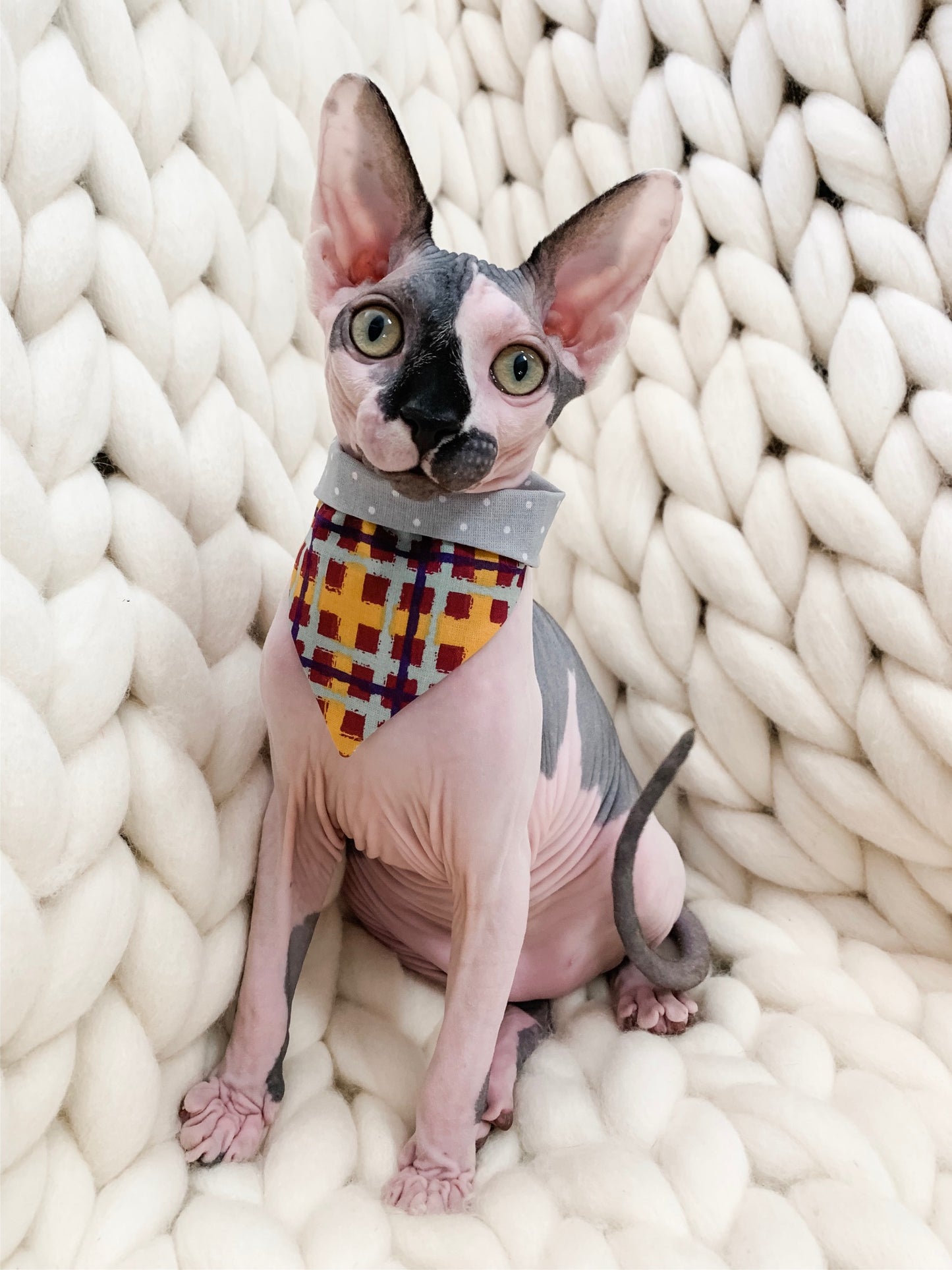 Perfectly Potter