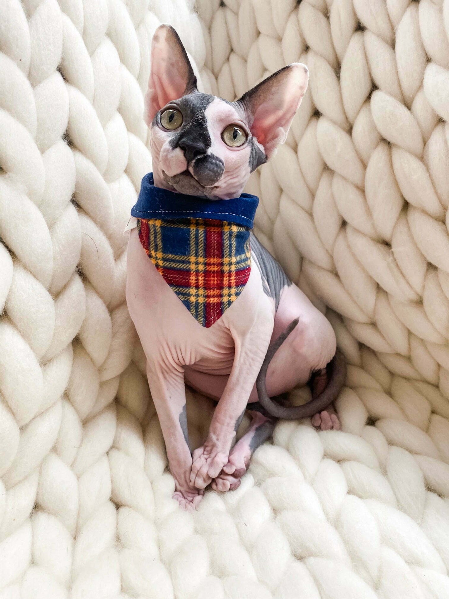 Classic Colors Snuggle Plaid