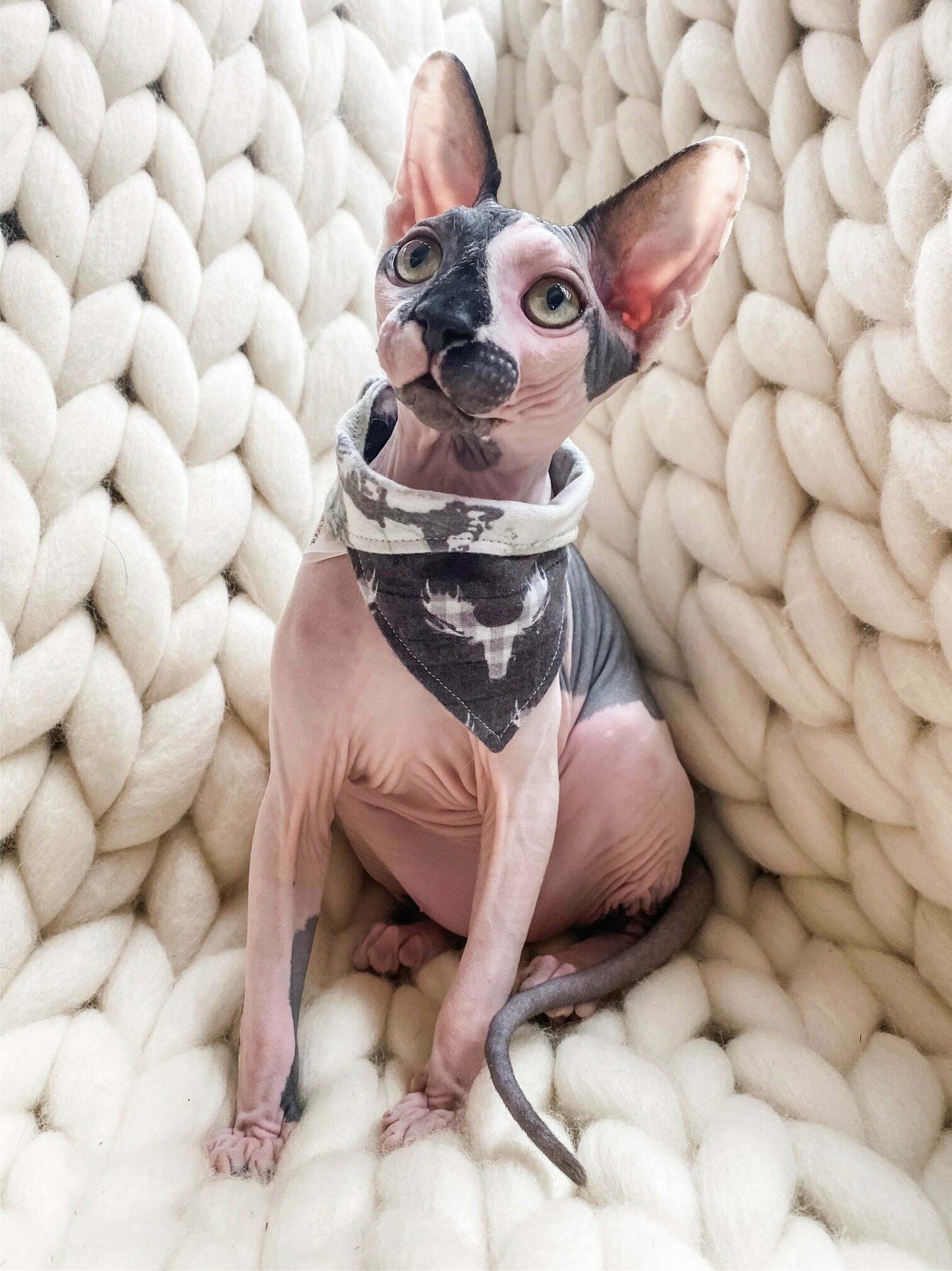 Big Buck Snuggle Plaid